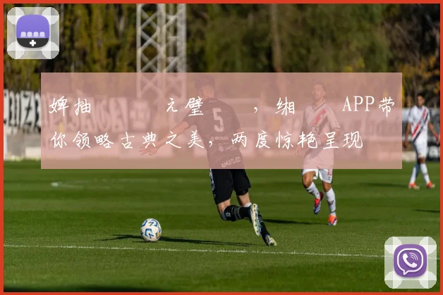 婢抽棬鍗佸ぇ璧屽巺，缃戠珯APP带你领略古典之美，两度惊艳呈现