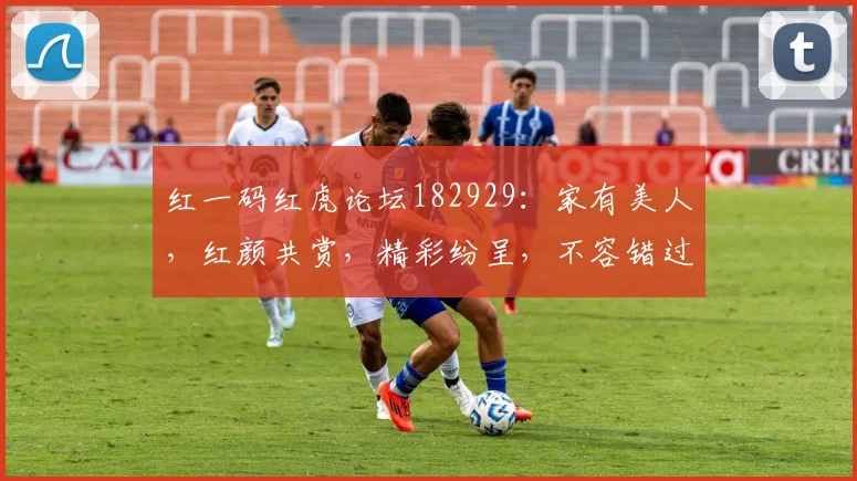 红一码红虎论坛182929：家有美人，红颜共赏，精彩纷呈，不容错过