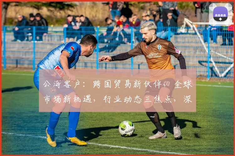公海客户：跨国贸易新伙伴，全球市场新机遇，行业动态三焦点，深度解析