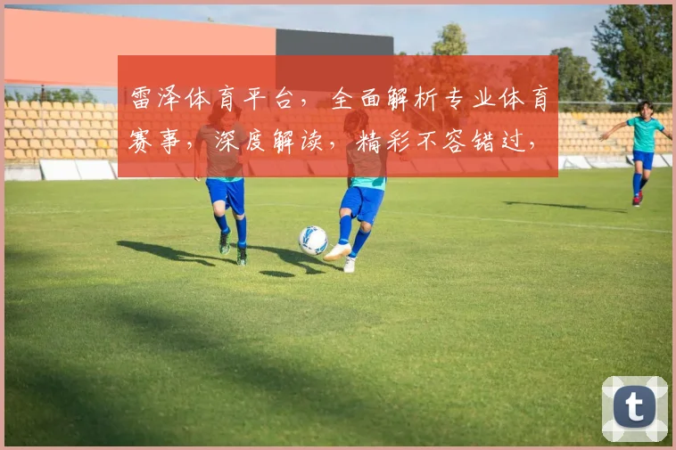 雷泽体育平台，全面解析专业体育赛事，深度解读，精彩不容错过，两大亮点，一网打尽